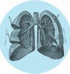 Image result for Surgical Lung Biopsy