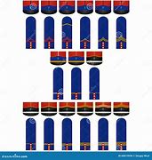 Image result for French Army Insignia