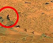 Image result for NASA Found Life On Mars