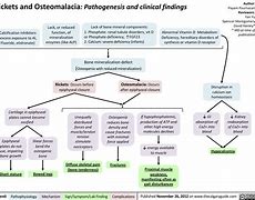 Image result for Rickets in Dogs Pathophysiology Flowchart