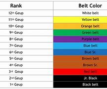 Image result for Belts in Taekwondo