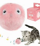Image result for Catnip Toys for Indoor Cats