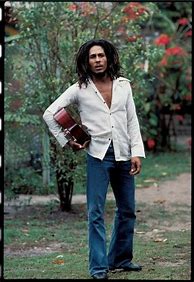Image result for Bob Marley Style