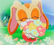 Image result for Cream the Rabbit Sonic X