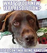 Image result for Funny New Year's Eve Memes