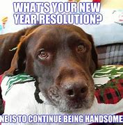 Image result for New Year's Baby Meme