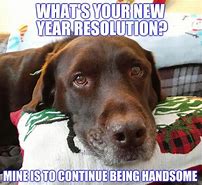 Image result for New Year's Day Meme