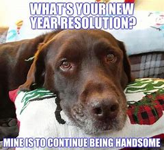 Image result for Funny New Year's Memes