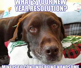 Image result for New Year Day Meme Funny