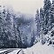 Image result for Winter Forest Wallpaper 4K