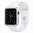 Image result for Apple Watch Bag