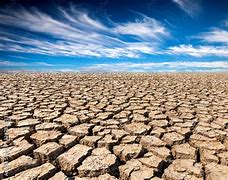 Image result for Dry and Cracked Land