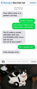 Image result for Text Me Cat