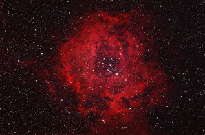 Image result for Galaxy Red Rose