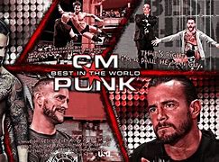 Image result for CM Punk Ses Wallpaper