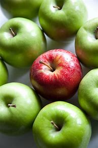 Image result for Red Apple Green Background