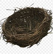 Image result for birds nests emoji