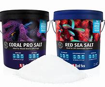 Image result for Sea Salt Aqua