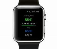 Image result for Pedometer On Apple Watch