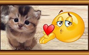 Image result for Funny Emoji Faces Animated