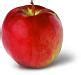 Image result for Top 10 Apple Varieties
