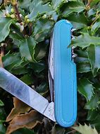 Image result for Victorinox Swiss Army Knife Scales