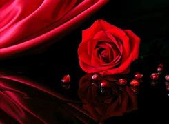 Image result for Black N Red Roses