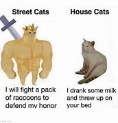 Image result for Dnd Cat Memes