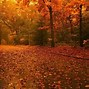Image result for Zedge Wallpapers for PC Autumn