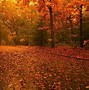 Image result for Autumn Landscape HD Wallpaper 1920X1080
