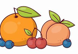 Image result for Fruit Selection