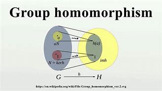 Image result for homomorgismo