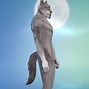 Image result for Sims 4 Werewolf Feet