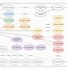 Image result for Vẽ Use Case Diagram