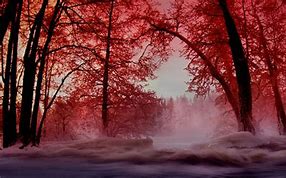 Image result for Red Winter Trees