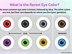 Image result for Top 10 Rarest Eye Colors