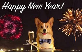 Image result for Happy New Year Corgi