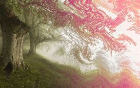 Image result for Trippy Tree