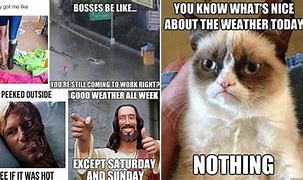 Image result for Under the Weather Meme