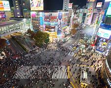 Image result for Sightseeing in Shibuya