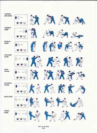 Image result for Jiu Jitsu Techniques Illustration Chart