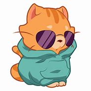 Image result for Very Cool Cat