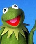 Image result for Kermit Funny Images