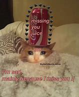 Image result for Wholesome Cat Memes