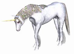 Image result for Unicorn Characteristics