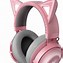 Image result for Headphones with Cat Ears