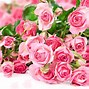 Image result for Flower 3 Pink Roses