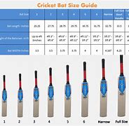 Image result for Size 4 Cricket Bat