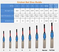 Image result for pitch bat size