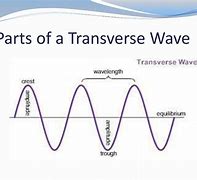 Image result for Transverse Wave